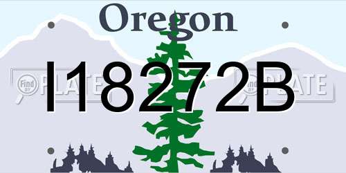 I18272B Oregon License Plate