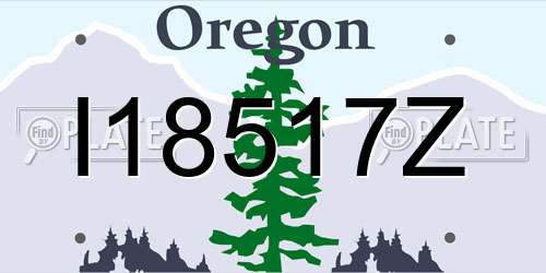 I18517Z Oregon License Plate