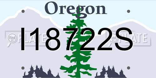 I18722S Oregon License Plate