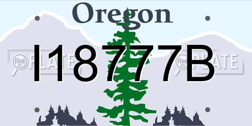 I18777B Oregon License Plate