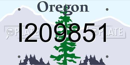 I209851 Oregon License Plate