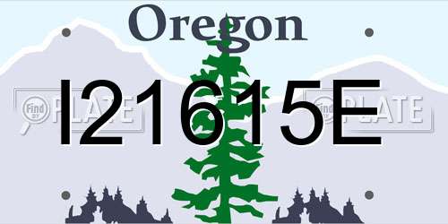 I21615E Oregon License Plate