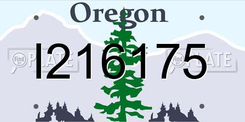 I216175 Oregon License Plate