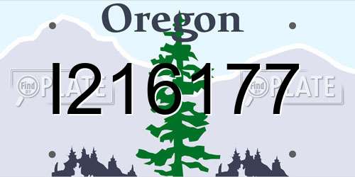 I216177 Oregon License Plate