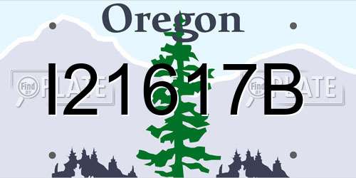 I21617B Oregon License Plate