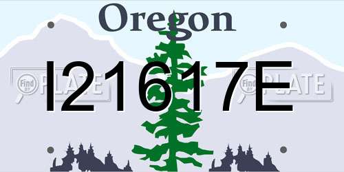 I21617E Oregon License Plate