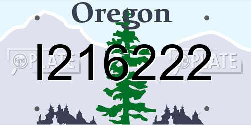 I216222 Oregon License Plate