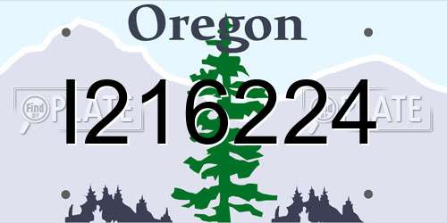 I216224 Oregon License Plate