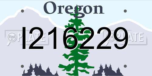 I216229 Oregon License Plate