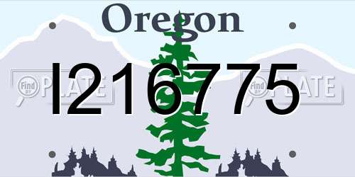 I216775 Oregon License Plate
