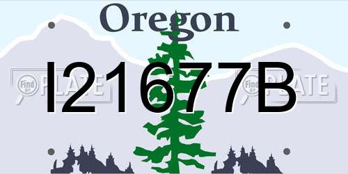 I21677B Oregon License Plate