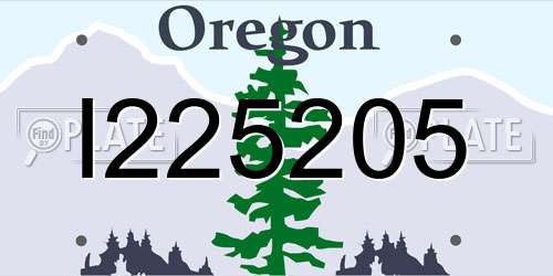 I225205 Oregon License Plate