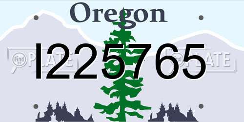 I225765 Oregon License Plate