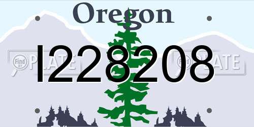 I228208 Oregon License Plate