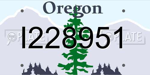 I228951 Oregon License Plate