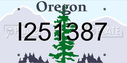 I251387 Oregon License Plate