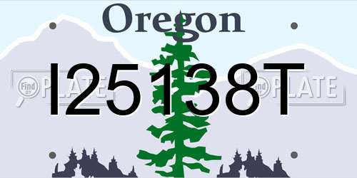 I25138T Oregon License Plate