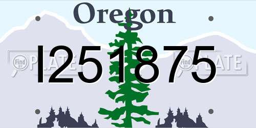I251875 Oregon License Plate