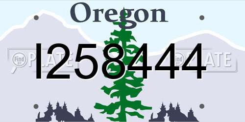 I258444 Oregon License Plate