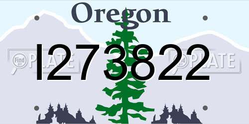 I273822 Oregon License Plate