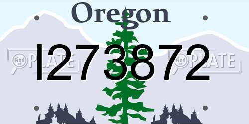 I273872 Oregon License Plate