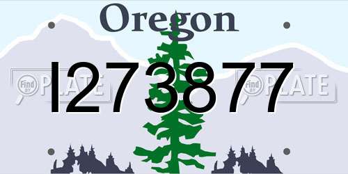 I273877 Oregon License Plate