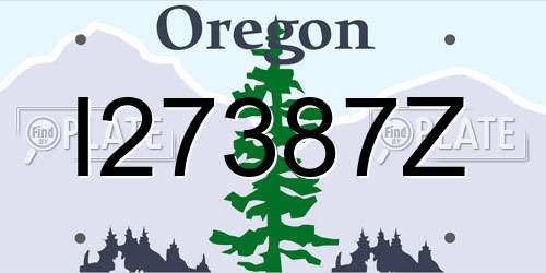 I27387Z Oregon License Plate
