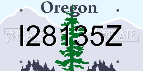 I28135Z Oregon License Plate