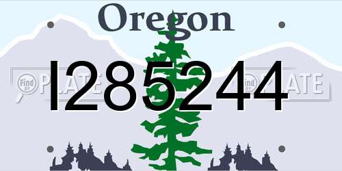 I285244 Oregon License Plate