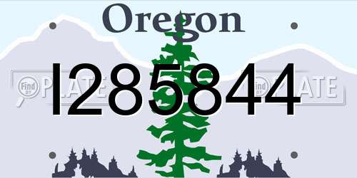 I285844 Oregon License Plate