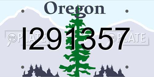 I291357 Oregon License Plate