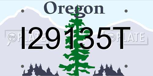 I29135T Oregon License Plate