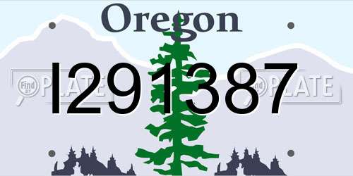 I291387 Oregon License Plate