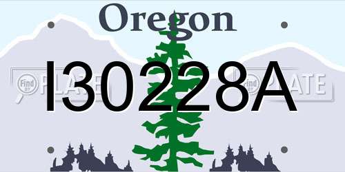 I30228A Oregon License Plate