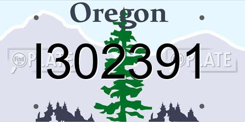 I302391 Oregon License Plate