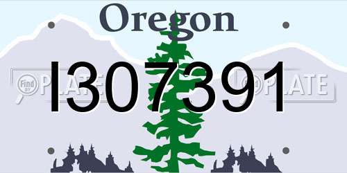 I307391 Oregon License Plate