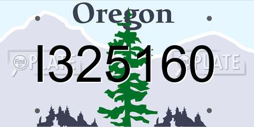 I325160 Oregon License Plate