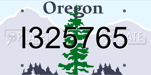 I325765 Oregon License Plate
