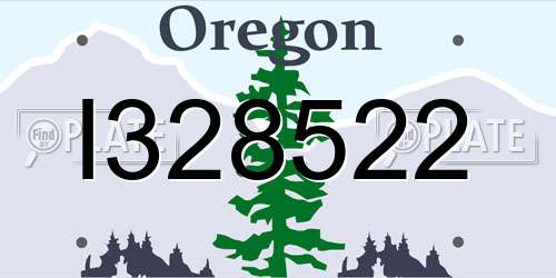 I328522 Oregon License Plate