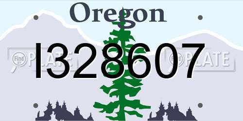 I328607 Oregon License Plate