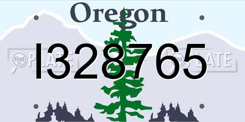 I328765 Oregon License Plate