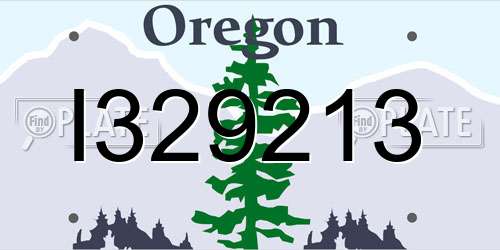 I329213 Oregon License Plate