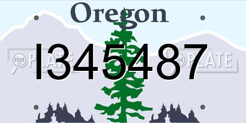 I345487 Oregon License Plate