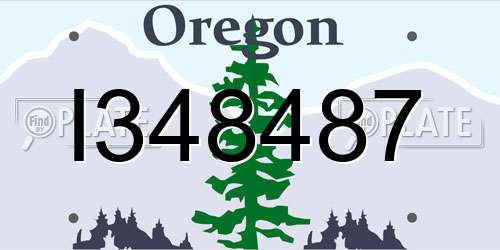 I348487 Oregon License Plate