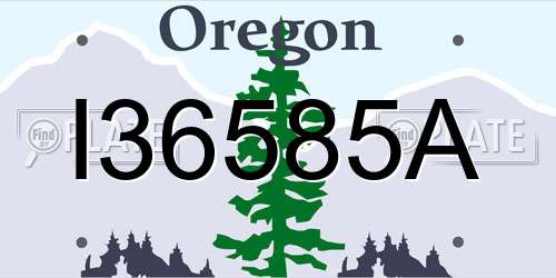 I36585A Oregon License Plate