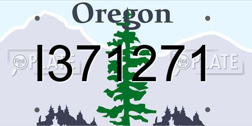 I371271 Oregon License Plate