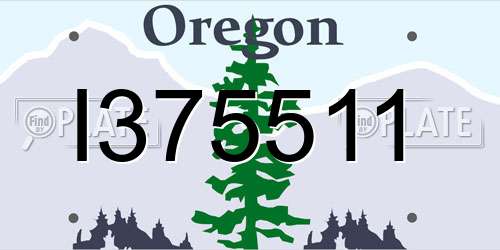 I375511 Oregon License Plate