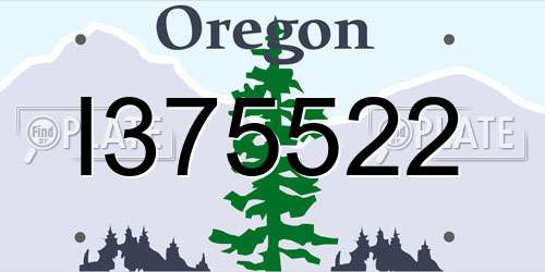 I375522 Oregon License Plate