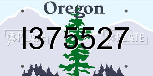 I375527 Oregon License Plate