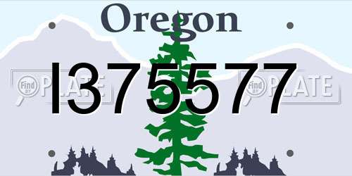 I375577 Oregon License Plate